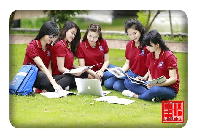 Đồng phục Nguyễn Tất Thành áo thun năng động tươi trẻ