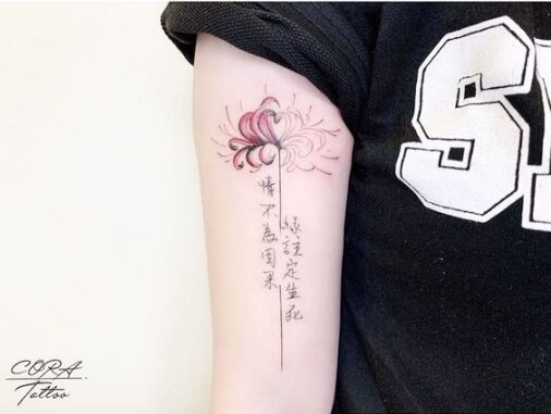Mẫu xăm hoa bỉ ngạn ở bắp tay cho nữ Hình xăm nghệ thuật hoa bỉ ngạn ở bắp tay cho nữ đẹp nhất