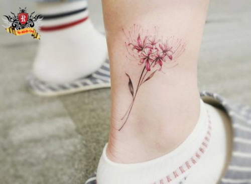 Mẫu xăm hoa bỉ ngạn ở chân cho nữ Hình xăm tattoo hoa bỉ ngạn ở chân đẹp nhất cho nữ