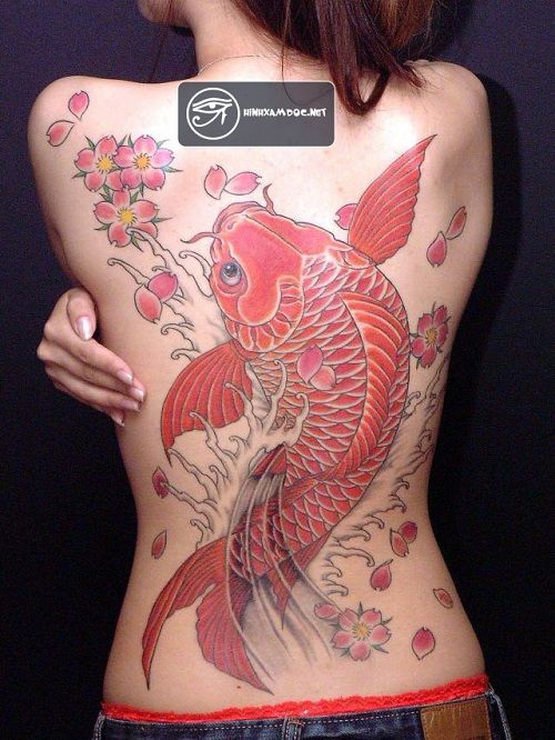 hinh-xam-ca-chep-kin-lung-cho-nu Mẫu hình xăm cá chép kín lưng cho nữ