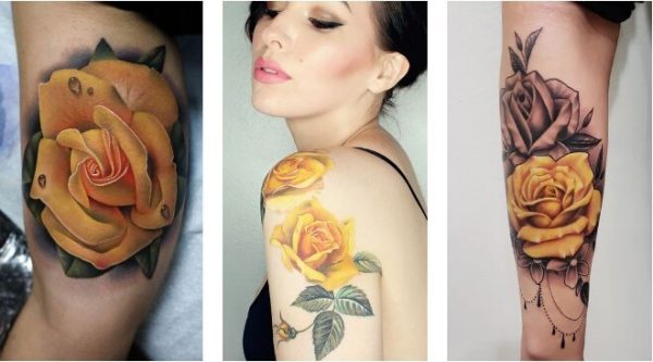 hình xăm hoa hồng, hình xăm hoa hồng ở tay, hình xăm hoa hồng mini, hình xăm hoa hồng nhỏ ở vai, hình xăm hoa hồng đen, hình xăm hoa hồng ở tay nam, hình xăm hoa hồng ở cổ chân cho nữ, ý nghĩa hình xăm hoa hồng, hình xăm hoa hồng mini ở cổ tay, hình xăm hoa hồng đẹp, hình xăm hoa hồng và bướm, hình xăm hoa hồng cho nam, hình xăm hoa hồng đơn giản, hình xăm hoa hồng ở chân, hình xăm hoa hồng ở cánh tay nữ, hình xăm hoa hồng cánh tay, hình xăm hoa hồng đồng hồ, hình xăm hoa hồng kín tay