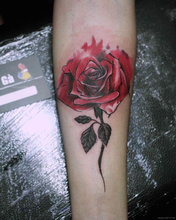 Hình ảnh xăm hoa hồng bắp tay Các mẫu hình xăm hoa hồng bắp tay đẹp nhất