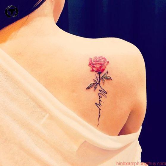Tuyển chọn các mẫu hình xăm hoa hồng mini - Kiểu 3 Hình xăm hoa hồng mini ở vai