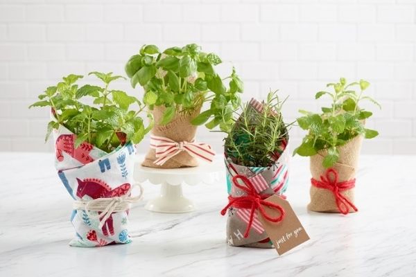quà sinh nhật cho nam giới, các món quà sinh nhật cho nam, quà sinh nhật cho nam giá rẻ, gợi ý quà sinh nhật cho nam, hình ảnh quà sinh nhật cho nam